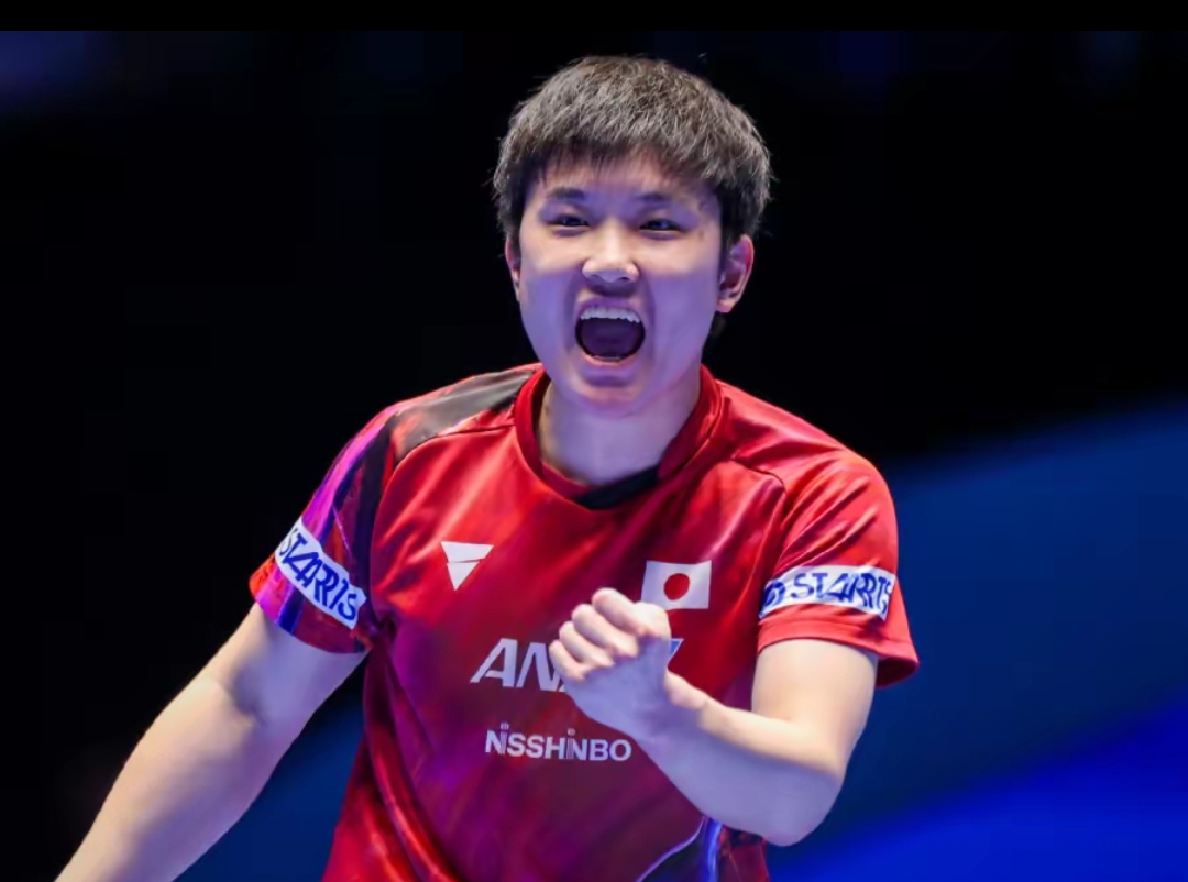 成为首批参 成为首批参