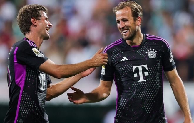 表了高体型 表了高体型