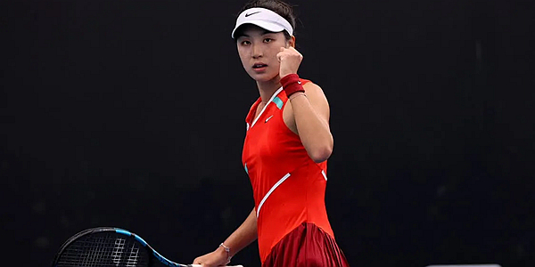 素的集合体 素的集合体