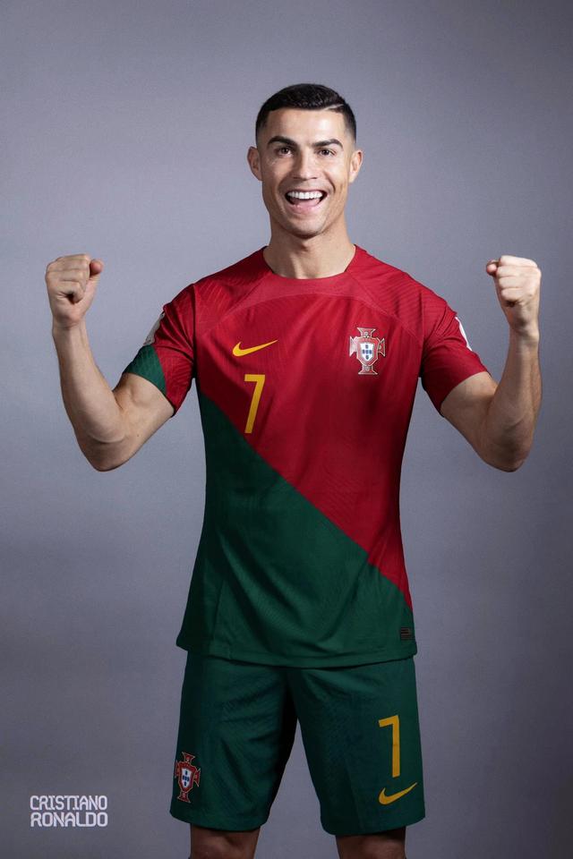 不仅促进了 不仅促进了