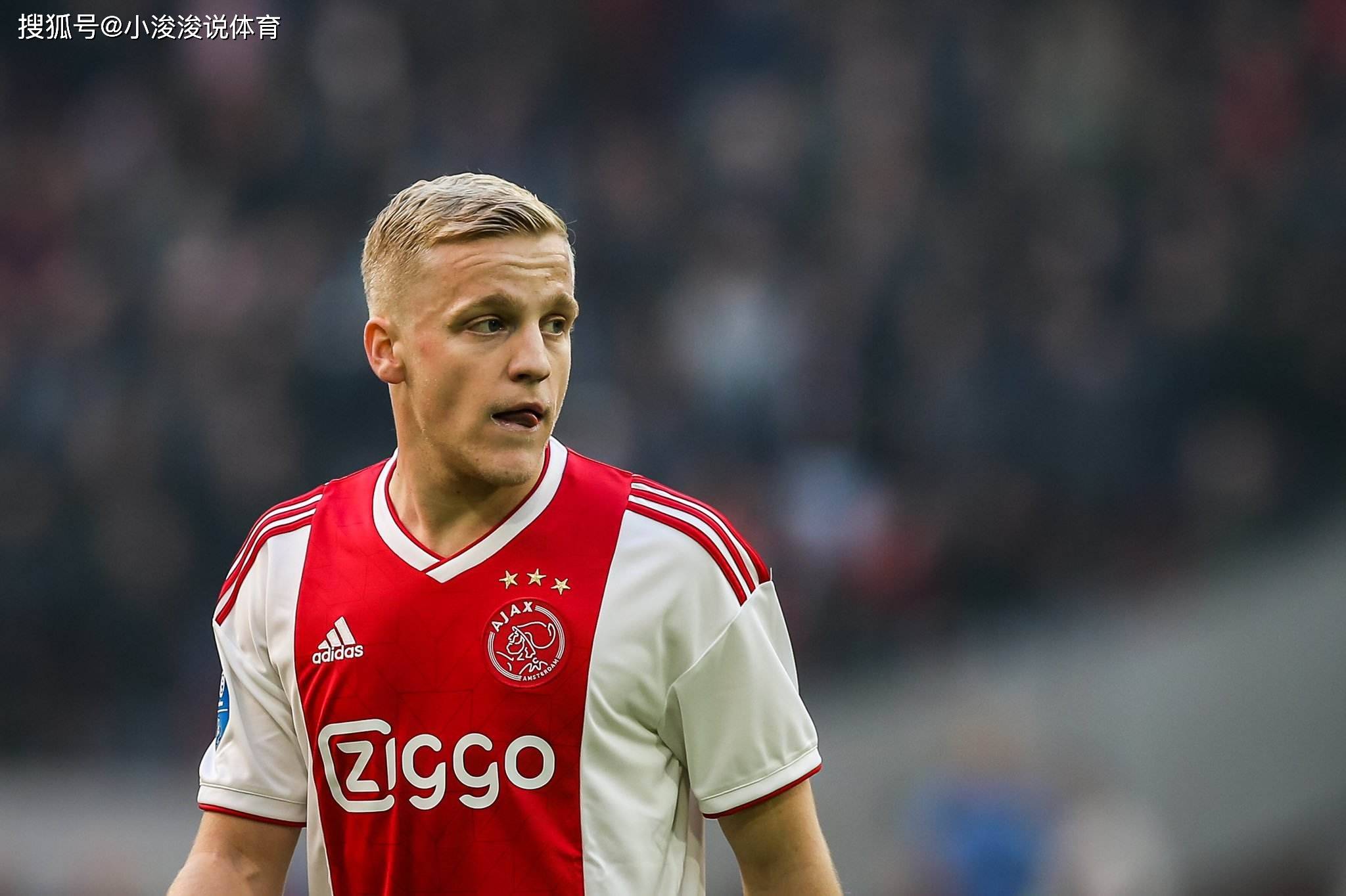 供了观赛 供了观赛