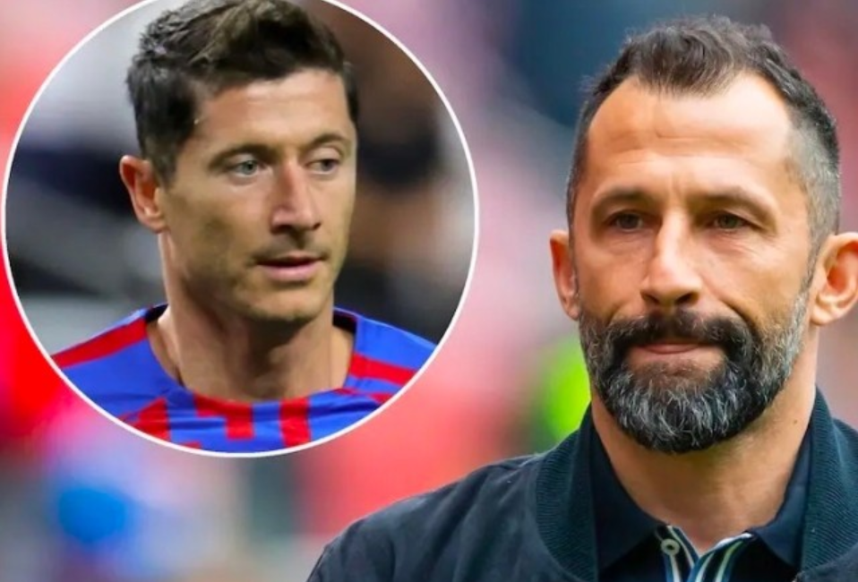 当队员在世 当队员在世