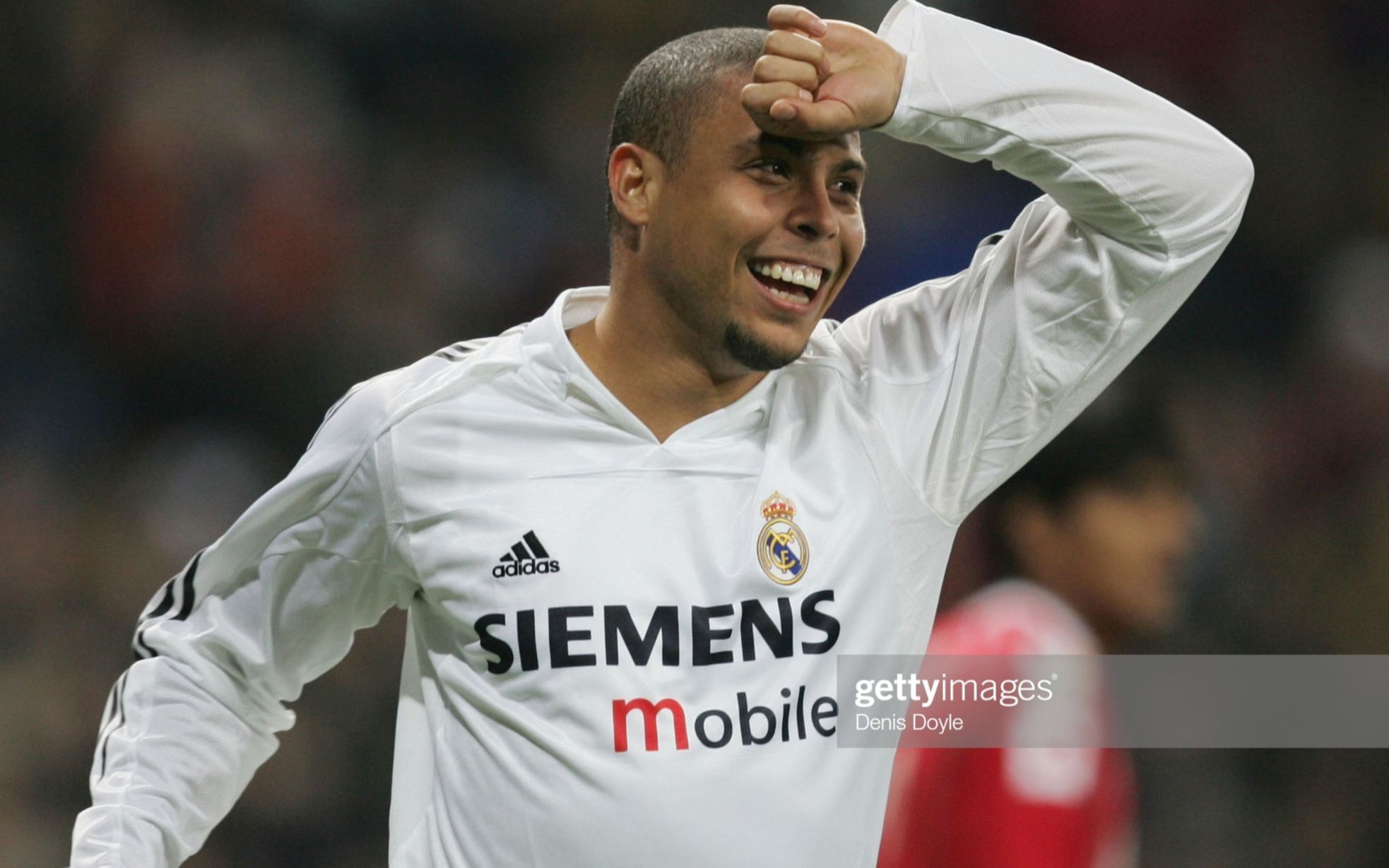 合规建议要 合规建议要